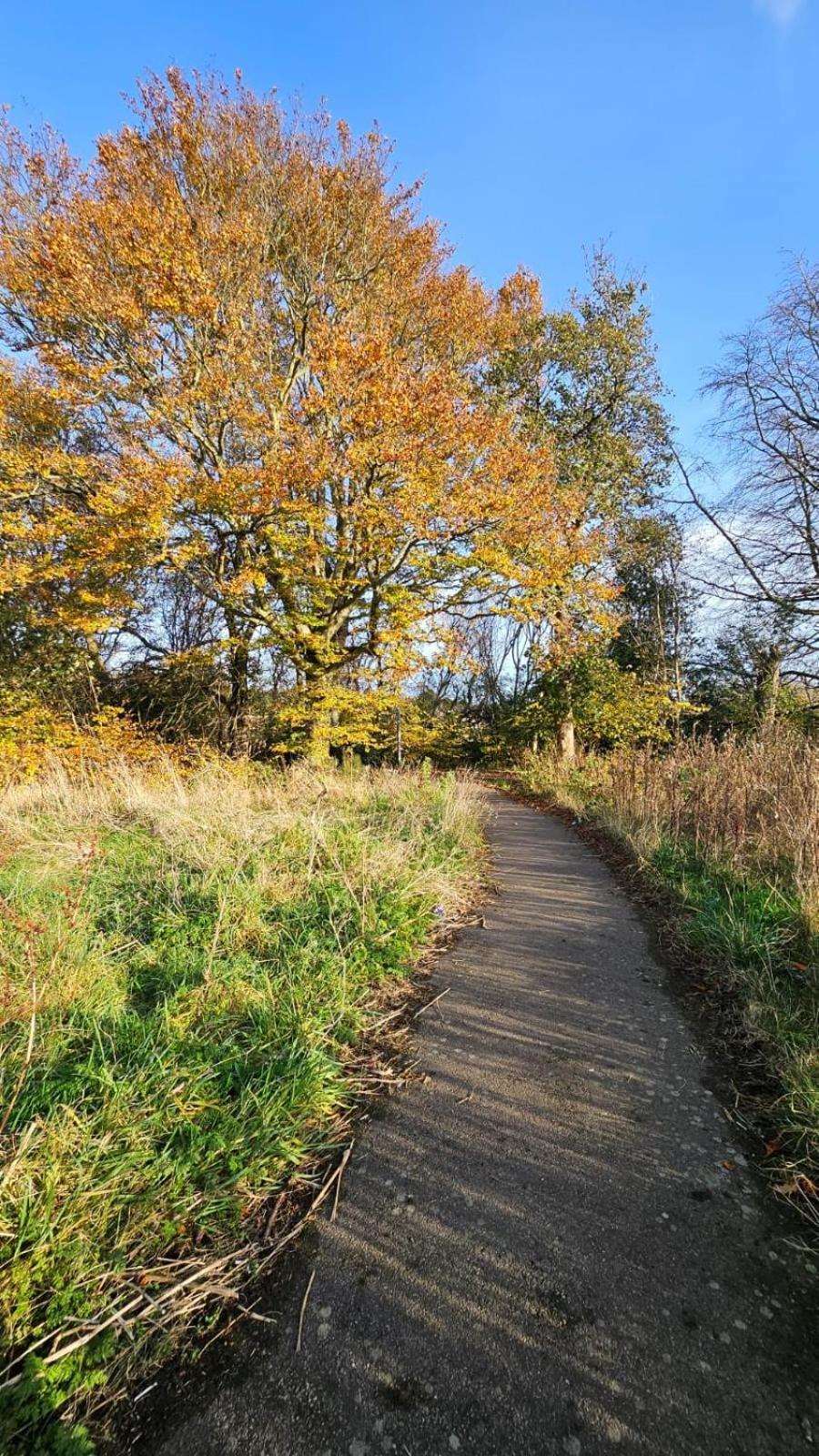 Cozy 2 Bedroom House Next To Nature Reserve,ab22, Wifi, Free Parking, Netflix, Pet - Friendly Ferienhaus *